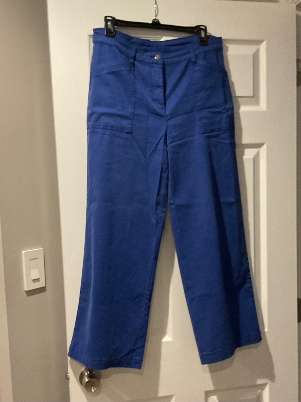Joie Wide-Leg Utility Pants in Cobalt Blue